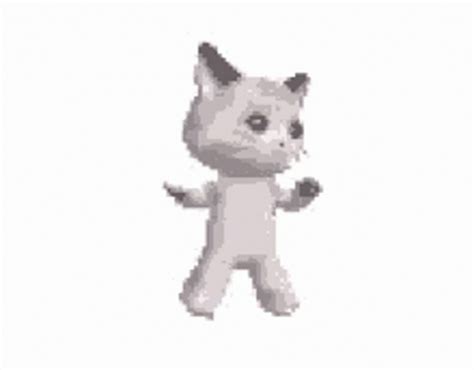 Dancing Cat Dancing Cat Meme GIF - DancingCat Cat Dancing - Discover ...