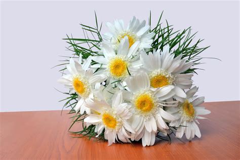 DIY Shasta Daisy Bouquet (How to Make a Daisy Floral Bouquet - With ...