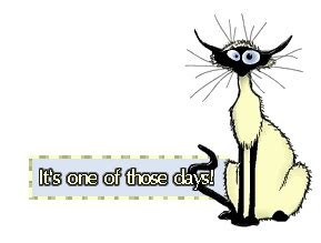 Frazzled Cat "one Of Those Days" gif by littleeaglebird2 | Photobucket