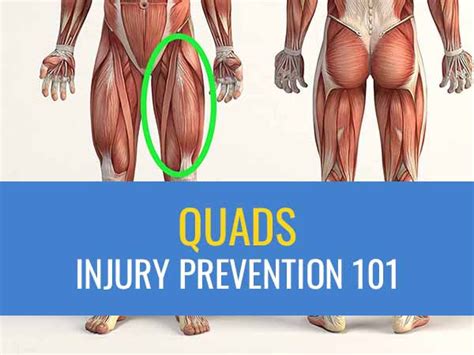 Injury Prevention 101: The Quads Exercises | Sports Injury Physio