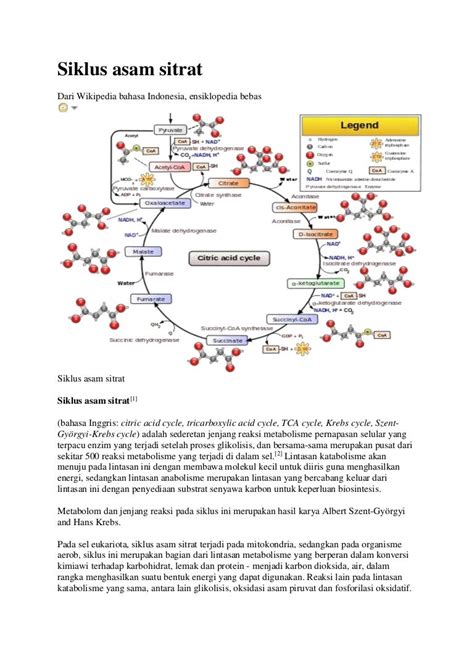 Siklus asam sitrat
