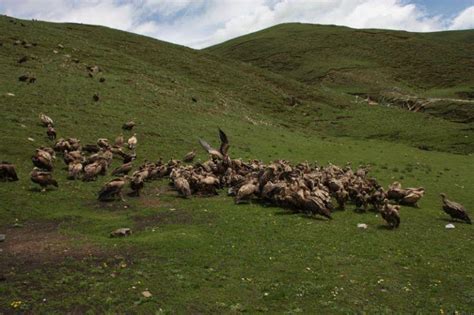 CONFESSIONS OF A FUNERAL DIRECTOR » Tibetan Sky Burial: 36 Photos