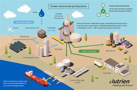 Ammonia Production Plant