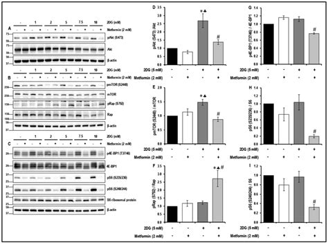 Targeting angiogenesis in tumor endothelial cells with a combination of ...