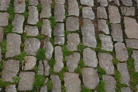 Vintage Stone Texture Footpath with Green Grass Stock Photo - Image of ...