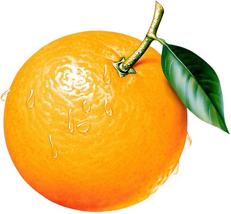 Orange Fruit Clip Art