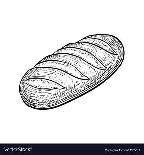 Loaf of bread Royalty Free Vector Image - VectorStock