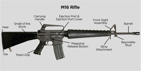 Parts Of M16 Rifle