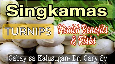 Singkamas (TURNIPS): Health Benefits & Risks - Dr. Gary Sy - YouTube