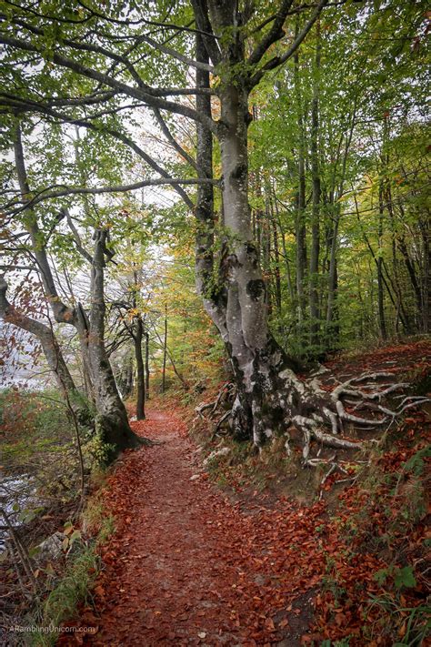 Plitvice Lakes National Park: The Big Hiking Loop - A Rambling Unicorn