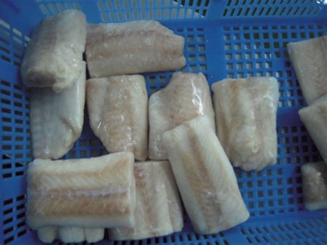 Frozen Pacific Cod Fillet - Qingdao Bossery Imp&Exp Co.,ltd - ecplaza.net