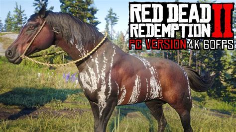 New Warped Brindle Arabian & More New Horses In Red Dead Redemption 2 ...