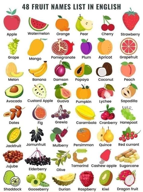 48 Fruits Names In English With Pictures | Idee per la scuola, Imparare ...