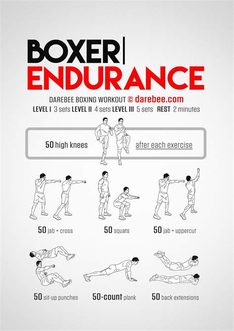 Boxer Endurance Workout | Endurance workout, Boxing training workout ...