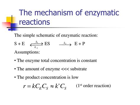 PPT - Chapter V Enzyme PowerPoint Presentation, free download - ID:222793