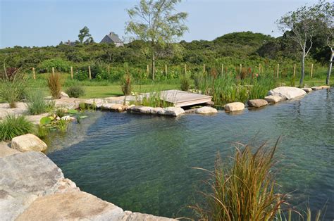 Build Swimming Pond With Natural Design Ideas | Agua | Pinterest ...