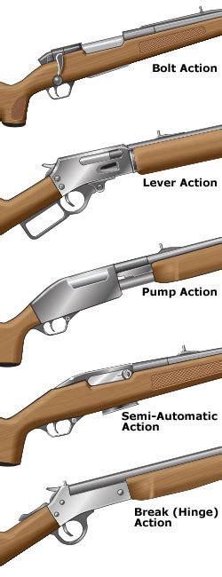 Common Actions on Rifles and Shotguns