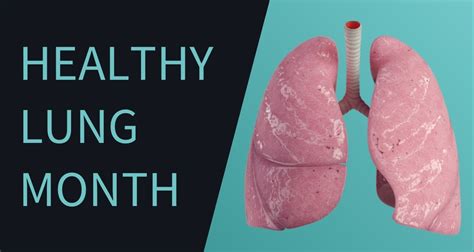 Healthy lungs for October | Complete Anatomy