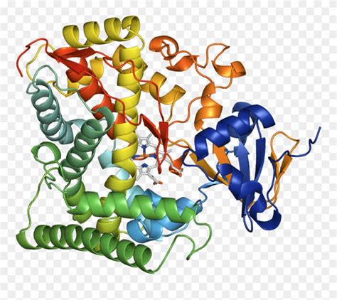 An Example Crystal Structure Of An Enzyme From The Clipart (#2918714 ...