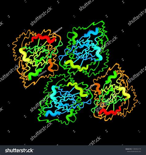 Gastricsin is a molecular chemical formula. Enzyme of the stomach ...