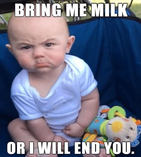 40 Hilarious Angry Baby Memes for 2024 – Child Insider