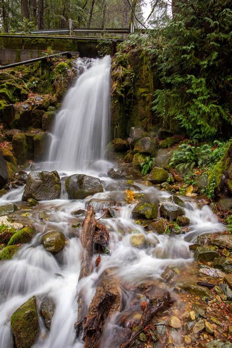 Waterfalls around Mt.Shasta | Waterfall, Waterfall trail, Lake siskiyou