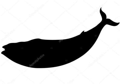 Pictures: blue whale silhouette | Blue whale silhouette — Stock Vector ...