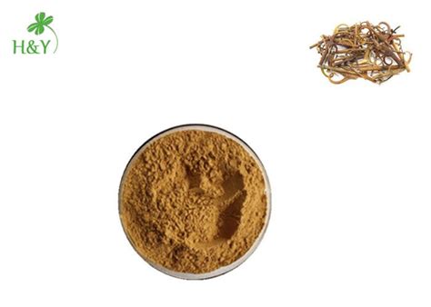 Free Sample Herbal Extract Powder , Anti Cancer Uncaria Tomentosa Extract