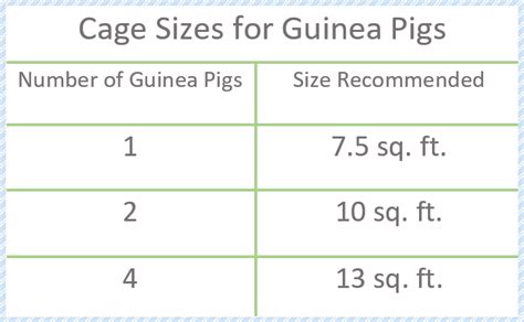 guinea pig cage size chart - Pet Territory