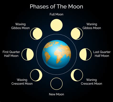 Phases and Full Moon Names | B&H eXplora