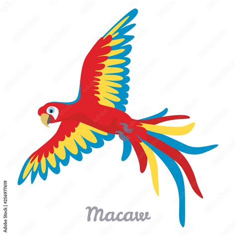 Macaw parrot flying isolated on white background. Vector illustration ...