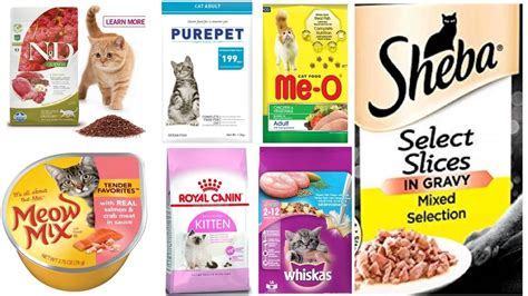 ALL Best Cat Food Brands In India Compared (November 2023)