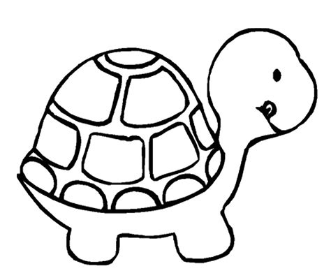 Turtle Drawing | Free download on ClipArtMag