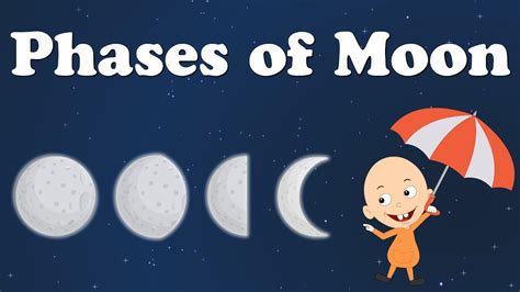 Phases of Moon | #aumsum #kids #science #education #children - YouTube