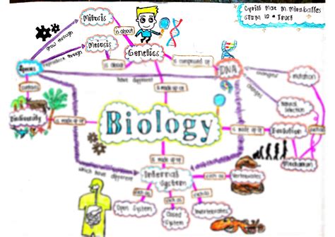 Bio Concept Maps Mind Map - buickcafe.com