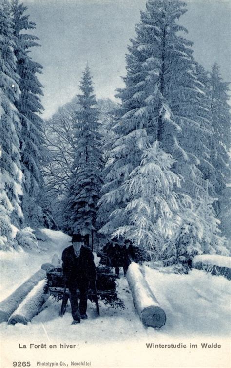 Winter forest, Switzerland – 432 Postcards