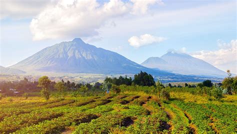 Virunga Mountains | Map, Eruptions, Rwanda, & Facts | Britannica