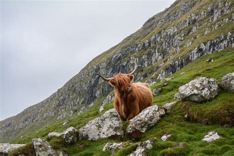 Free Images : landscape, grass, rock, wilderness, sky, meadow, hill ...