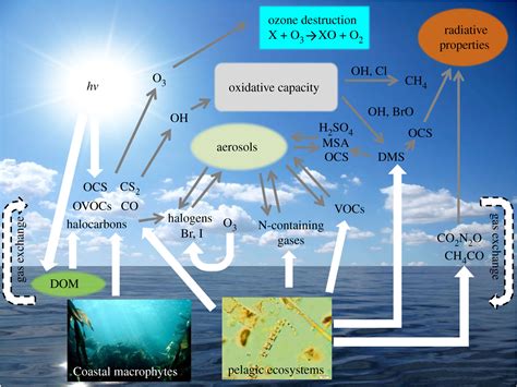 Paper from the SOLAS sponsored GESAMP WG38 workshop on the impact of ...