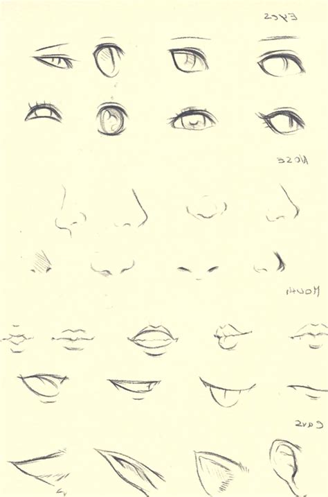 Female Anime Nose Drawing 28++ Images Result | Koltelo