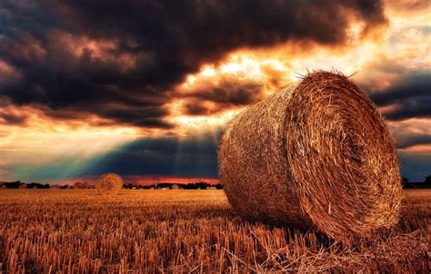 Hay Field Wallpapers - Top Free Hay Field Backgrounds - WallpaperAccess