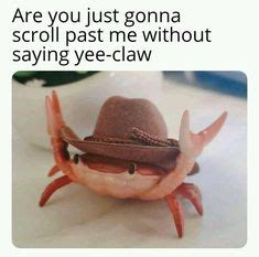 21 Best Crab Meme ideas | funny pictures, funny memes, funny