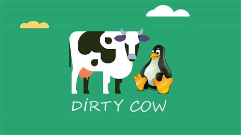 Linux Copy on – Write (COW) Dirty COW CVE-2016-5195 | bigdba.com