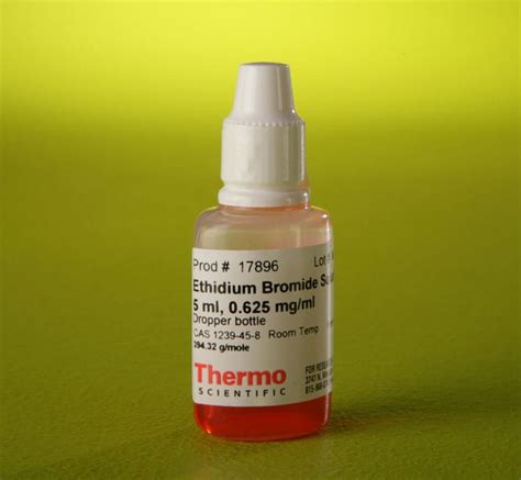 Ethidium Bromide Solution (0.625 mg/mL)