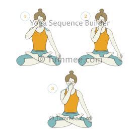 100+ Pranayama Yoga Poses to Plan Yoga Sequences | Tummee.com