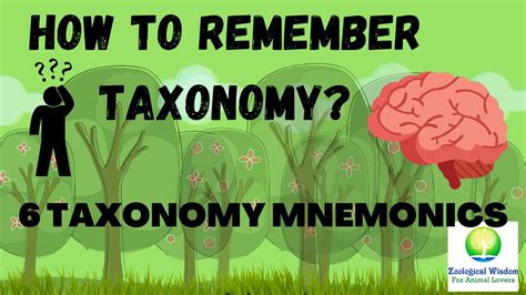 6 ways to remember taxonomic hierarchy | Taxonomy | Biology Mnemonic in ...