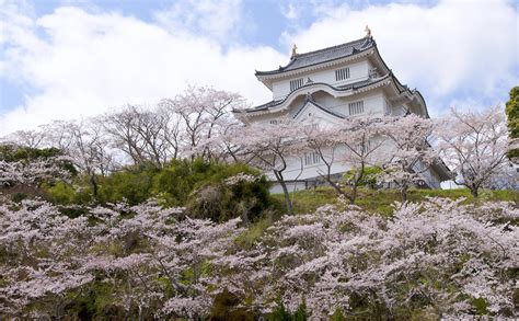 Otaki Castle - GaijinPot Travel