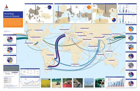 Global Patterns