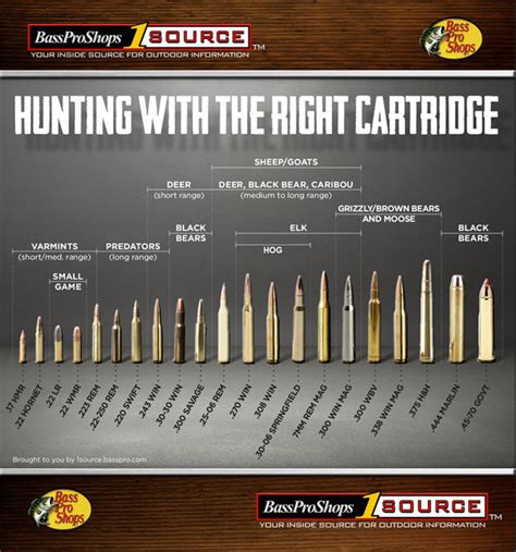 Use This Rifle Caliber Chart to Pick the Right Ammo for Hunting | Bass ...