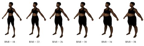 EJIHPE | Free Full-Text | The Development of a BMI-Guided Shape ...